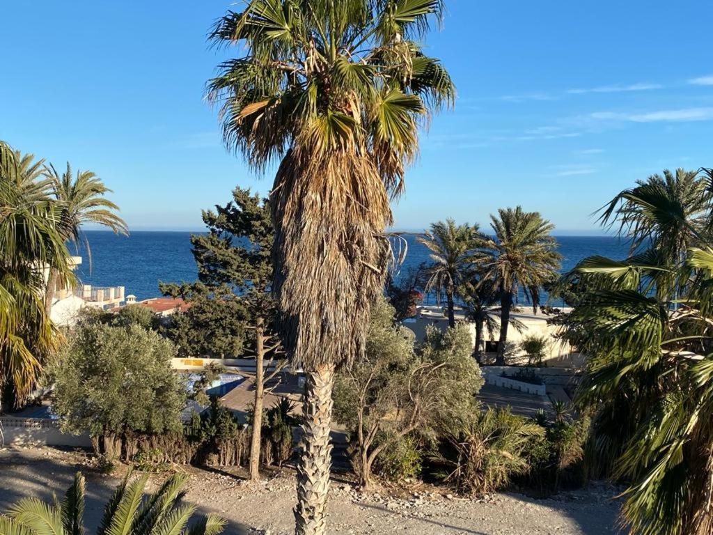 Playa - 2